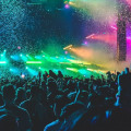 The World's Largest Music Festival: Donauinselfest