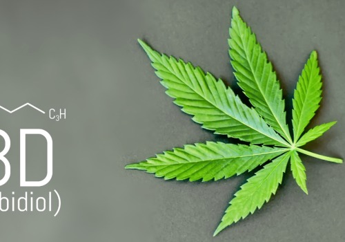 How Does Full Spectrum CBD Work in The Body: A Beginner’s Guide